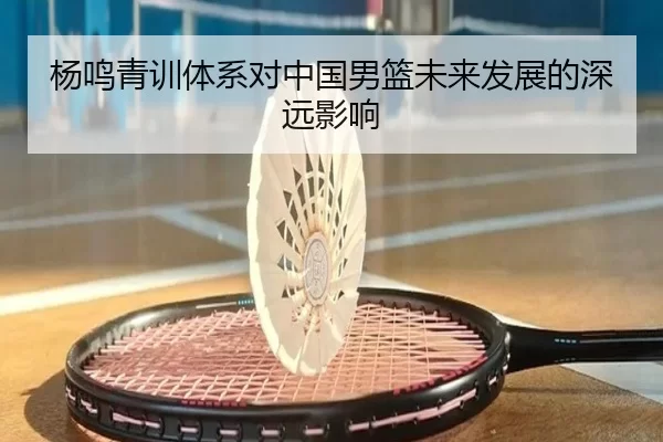 杨鸣青训体系对中国男篮未来发展的深远影响