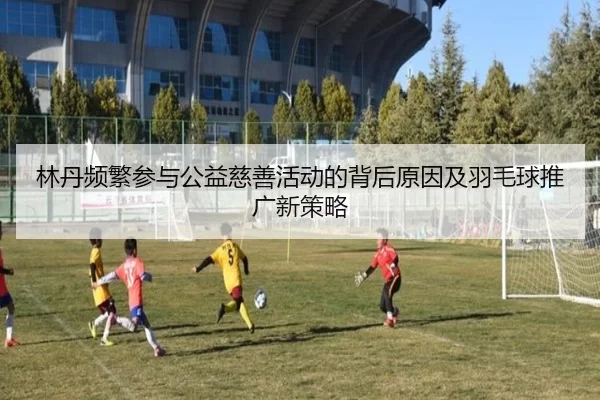 林丹频繁参与公益慈善活动的背后原因及羽毛球推广新策略